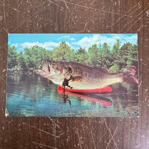 VINTAGE Plastichrome Postcard The One that Got Away Bass fishing fisherman humor